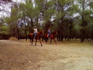 Ruta a caballo.jpg